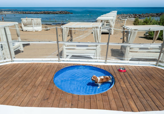 Knossos Beach Dog Pool dog enjoying the pool