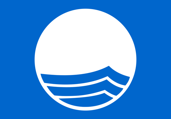 Blue Flag Logo.Svg