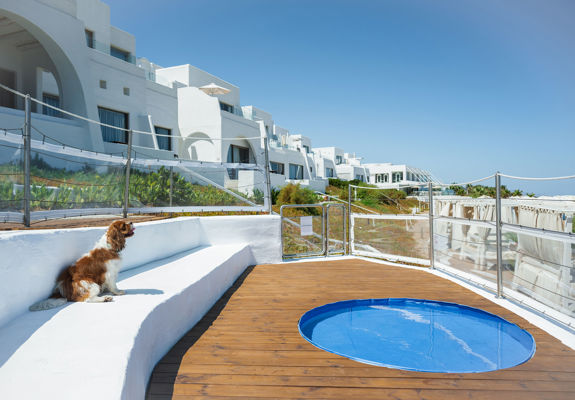 Knossos Beach Dog Pool and the hotel in the background